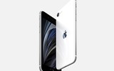 [ẢNH] Những thông tin thú vị về chiếc iPhone SE 2020 