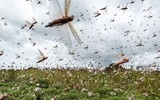 [ẢNH] Những lời dự báo đáng kinh ngạc của nhà tiên tri mù Vanga