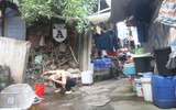 [ẢNH] Giúp đỡ những 