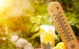 [ẢNH] 5 căn bệnh nguy hiểm thường dễ mắc vào mùa hè và cách chữa trị
