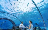 [ẢNH] Những dịch vụ độc lạ dưới đáy đại dương