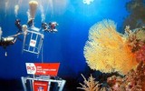[ẢNH] Những dịch vụ độc lạ dưới đáy đại dương