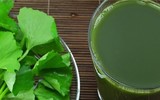 [ẢNH] Những lưu ý khi chọn thức uống trong ngày hè nóng nực