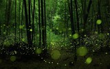 [ẢNH] Những hiện tượng ánh sáng thiên nhiên kỳ diệu đến khó tin