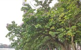[ẢNH] Hà Nội 