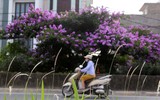 [ẢNH] Hà Nội 