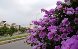 [ẢNH] Hà Nội 