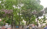 [ẢNH] Hà Nội 
