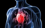 [ẢNH] Những bệnh dễ gặp khi ngồi quá lâu trước máy tính