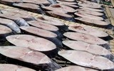 [ẢNH] Top những món ăn ‘một nắng’ siêu hấp dẫn ngày hè khiến cư dân mạng ‘chao đảo’