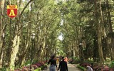 [ẢNH] Đi Đà Lạt khám phá dinh thự xa hoa, chứa 