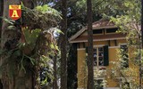 [ẢNH] Đi Đà Lạt khám phá dinh thự xa hoa, chứa 