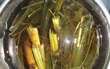 [ẢNH] Những loại nước 