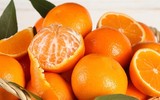 [ẢNH] Những thực phẩm tốt nhất cho bệnh nhân sốt xuất huyết