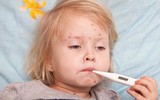 [ẢNH] Những thực phẩm tốt nhất cho bệnh nhân sốt xuất huyết