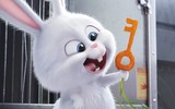[ẢNH] Thỏ Snowball và loạt nhân vật hoạt hình gây 