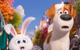 [ẢNH] Thỏ Snowball và loạt nhân vật hoạt hình gây 