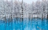 [ẢNH] Ngỡ ngàng trước những hồ nước thay đổi màu sắc kỳ diệu trên thế giới