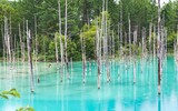 [ẢNH] Ngỡ ngàng trước những hồ nước thay đổi màu sắc kỳ diệu trên thế giới