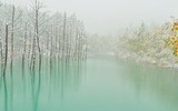 [ẢNH] Ngỡ ngàng trước những hồ nước thay đổi màu sắc kỳ diệu trên thế giới