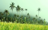 [ẢNH] Top 3 hòn đảo 