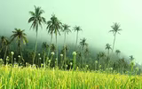 [ẢNH] Top 3 hòn đảo 