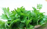 [ẢNH] 3 loại rau quả có vị đắng nhưng cực tốt cho sức khỏe
