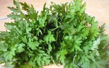 [ẢNH] 3 loại rau quả có vị đắng nhưng cực tốt cho sức khỏe