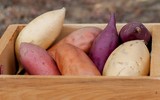 [ẢNH] Những sai lầm cực nguy hiểm khi ăn khoai lang cần tránh