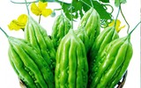 [ẢNH] 3 loại rau quả có vị đắng nhưng cực tốt cho sức khỏe