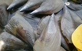 [ẢNH] Những đặc sản không thể bỏ lỡ khi du lịch Phú Quốc