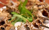 [ẢNH] Những đặc sản không thể bỏ lỡ khi du lịch Phú Quốc