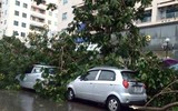 [ẢNH] Bí quyết 