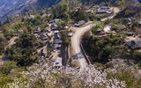 [ẢNH] Khám phá 5 loài hoa tuyệt đẹp thường dùng để chế biến thành nhiều món ngon