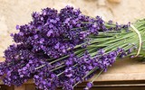 [ẢNH] Khám phá 5 loài hoa tuyệt đẹp thường dùng để chế biến thành nhiều món ngon
