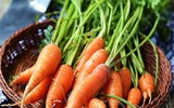 [ẢNH] Những thực phẩm giúp thanh lọc cơ thể cực tốt vào mùa hè không thể bỏ qua