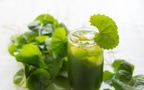 [ẢNH] Những thực phẩm giúp thanh lọc cơ thể cực tốt vào mùa hè không thể bỏ qua