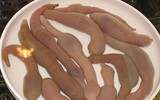 [ẢNH] 6 món đặc sản biển gây ấn tượng bởi vẻ ngoài 