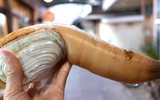 [ẢNH] 6 món đặc sản biển gây ấn tượng bởi vẻ ngoài 