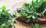[ẢNH] Những món bánh dân dã thơm ngon nức tiếng của ẩm thực miền Bắc