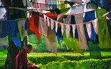 [ẢNH] Mãn nhãn bộ ảnh 1111 ngày vòng quanh thế giới bằng xe máy của Trần Đặng Đăng Khoa (P2)