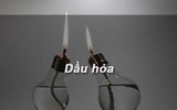 [ẢNH] Mẹo xử lý ban đầu khi bị côn trùng cắn