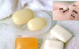[ẢNH] Mẹo xử lý ban đầu khi bị côn trùng cắn