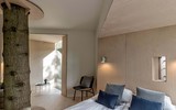 [ẢNH] Những ngôi nhà cây có thiết kế 
