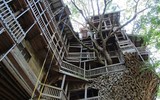 [ẢNH] Những ngôi nhà cây có thiết kế 