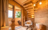 [ẢNH] Những ngôi nhà cây có thiết kế 