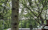 [ẢNH] Những ngôi nhà cây có thiết kế 