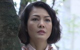 [ẢNH] Vẻ đẹp 