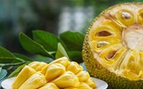 [ẢNH] Những đại kỵ khi ăn mít cần biết để tránh 