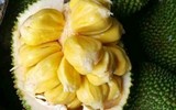 [ẢNH] Những đại kỵ khi ăn mít cần biết để tránh 